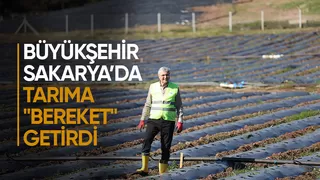 Büyükşehir projeleri tarımda Sakarya'ya can suyu oldu