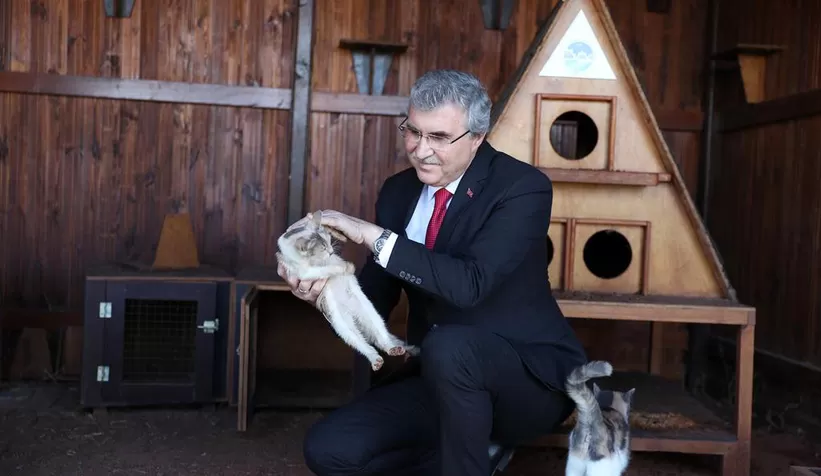 Büyükşehir Sokak Hayvanları Rehabilitasyon Merkezi tamamlanıyor