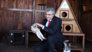 Büyükşehir Sokak Hayvanları Rehabilitasyon Merkezi tamamlanıyor