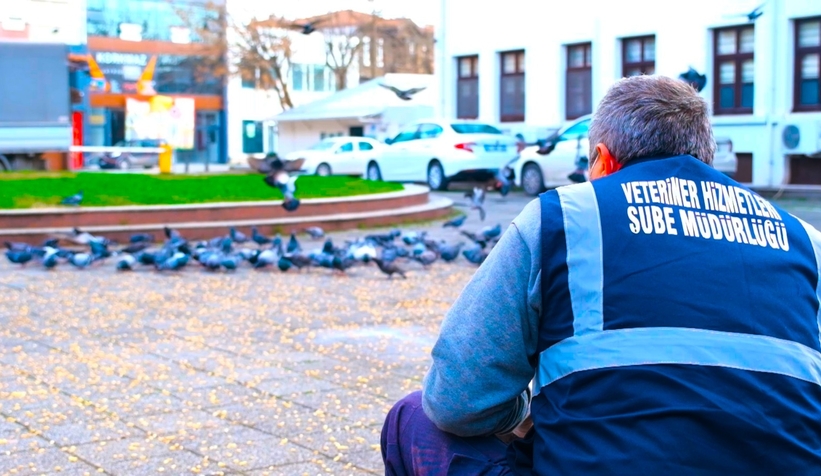Büyükşehir sokak hayvanları unutmuyor