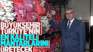 Büyükşehir Türkiye’nin en kaliteli mantarlarını üretecek