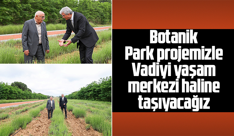 Büyükşehir vadiyi yaşam merkezi haline taşıyacak