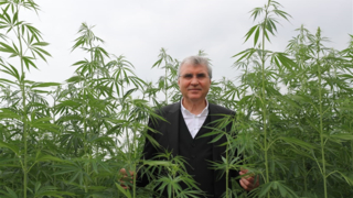 Büyükşehir ve SAÜ'den kenevir protokolü