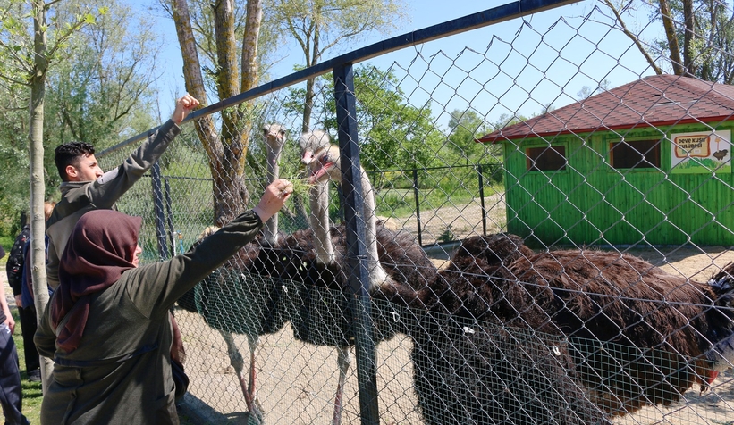 Büyükşehir YADEM’le doğada sağlıklı yaşamın sırlarını çözüyorlar