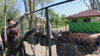 Büyükşehir YADEM’le doğada sağlıklı yaşamın sırlarını çözüyorlar