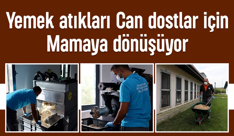 Büyükşehir yemek atıklarını mamaya dönüştürüyor