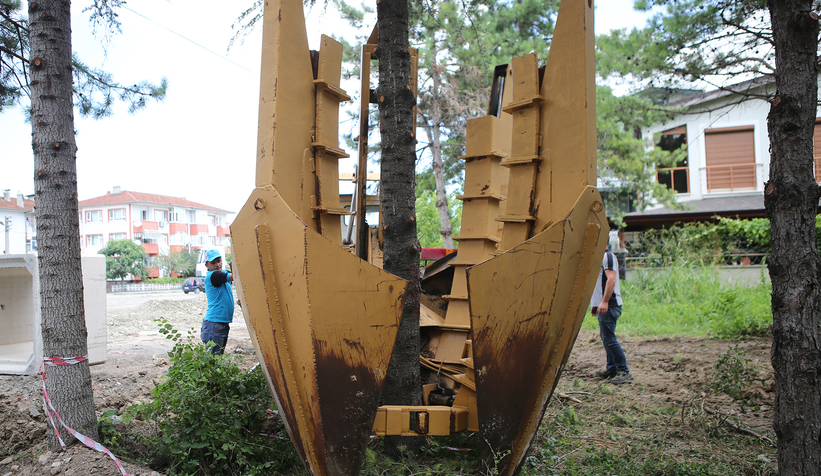 Büyükşehir’den ağaç hassasiyeti