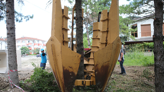 Büyükşehir’den ağaç hassasiyeti