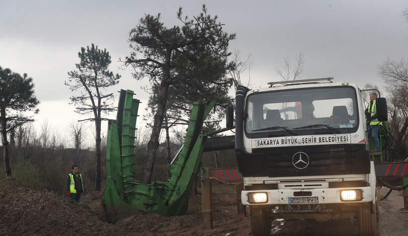 Büyükşehir’den metrobüs hattında yeşil hassasiyeti 