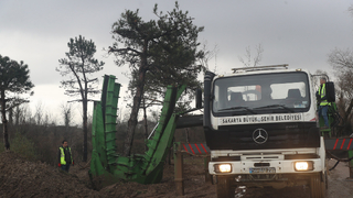 Büyükşehir’den metrobüs hattında yeşil hassasiyeti 