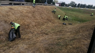 Büyükşehirden ot temizliği