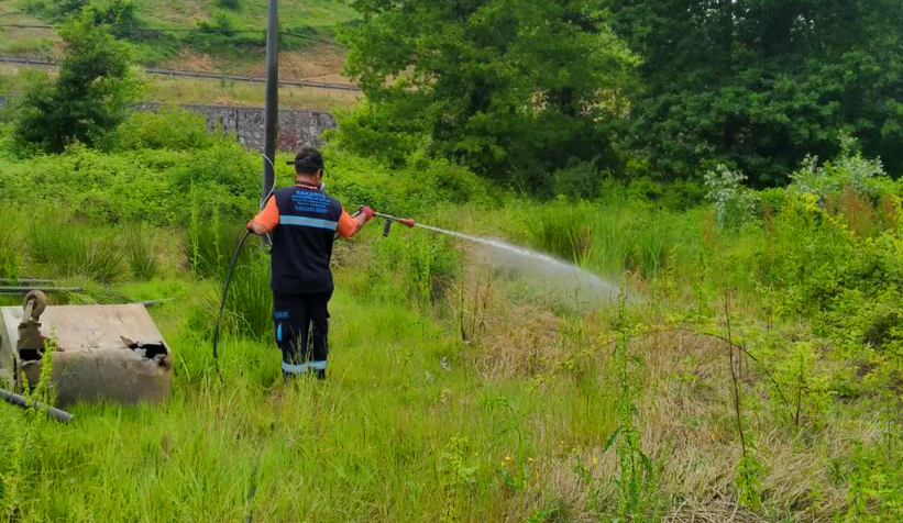 Büyükşehir’den sinek ve böcek istilasına müdahale
