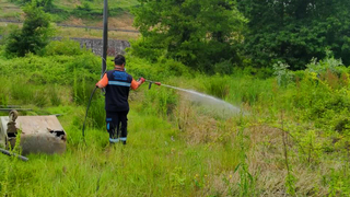 Büyükşehir’den sinek ve böcek istilasına müdahale