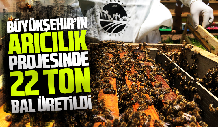 Büyükşehirin bal projesinde 22 ton bal üretildi