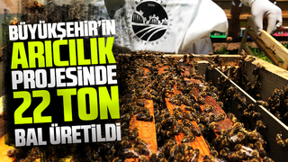 Büyükşehirin bal projesinde 22 ton bal üretildi