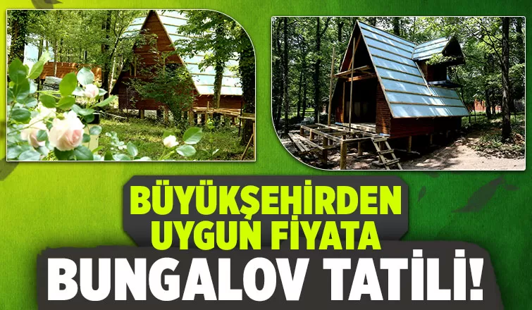 Büyükşehir’in bungalovları doğaya renk kattı