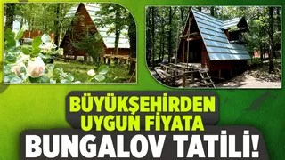 Büyükşehir’in bungalovları doğaya renk kattı