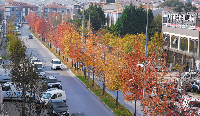 Büyükşehir’in dokunduğu yollarda sonbahar esintisi