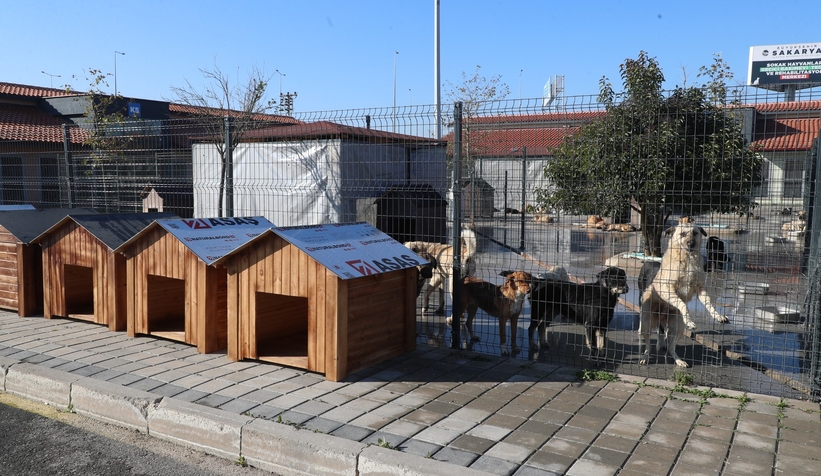 Büyükşehir’in hayvan bakımevine mama kabı ve kulübe desteği