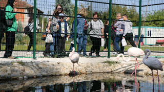 Büyükşehir’in özel çocukları doğanın tadını çıkardı