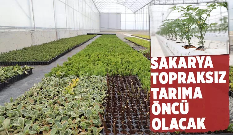 Büyükşehirin projeleri tarıma öncü olacak
