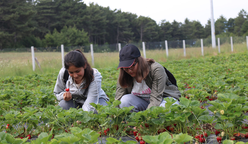 Büyükşehir’in tarım projeleri genç kuşağa yön veriyor