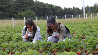 Büyükşehir’in tarım projeleri genç kuşağa yön veriyor