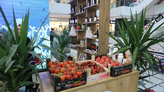 Büyükşehir’in ürettiği ürünler vatandaşlarla buluşturuluyor