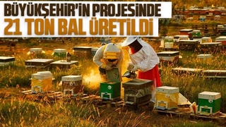 Büyükşehirin projesinde 21 ton bal üretildi