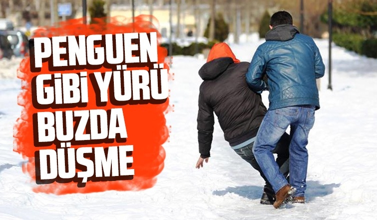 Buzda 'penguen yürüyüşü' hayat kurtarıyor