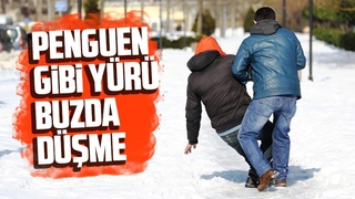 Buzda 'penguen yürüyüşü' hayat kurtarıyor