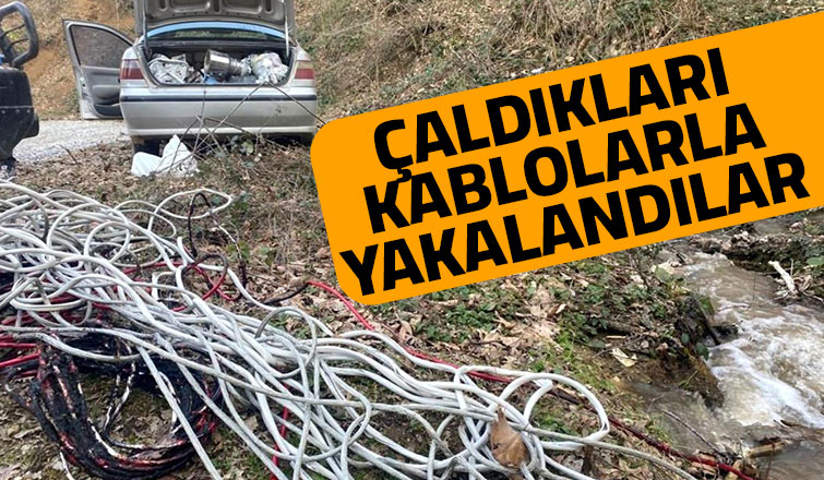 Çaldıkları 300 metre kabloyla yakalandılar