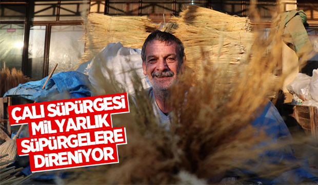 Çalı süpürgesi milyarlık süpürgelere direniyor