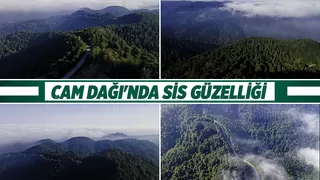 Çam Dağı'nda görsel şölen