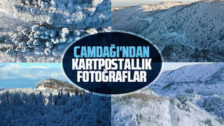 Çam Dağı'ndan eşsiz kareler