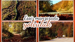 Çam Dağı’nın hayran bırakan sonbahar manzarası