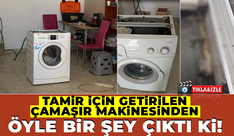 Çamaşır makinesinden çıkan şok etti