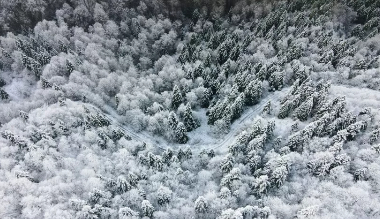 Çamdağı'nda görsel şölen