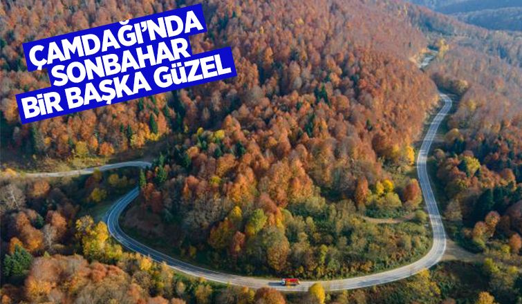 Çamdağı'nda sonbahar