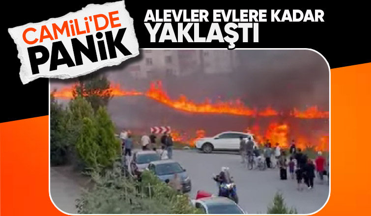 Camili de yangın paniği