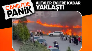 Camili de yangın paniği