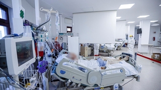 Can kaybı arttı; İşte son durum