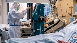 Can kaybında yeni rekor kırıldı