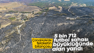 Çanakkale'de yangın kontrol altına alındı! 4 bin 80 hektar alan kül oldu