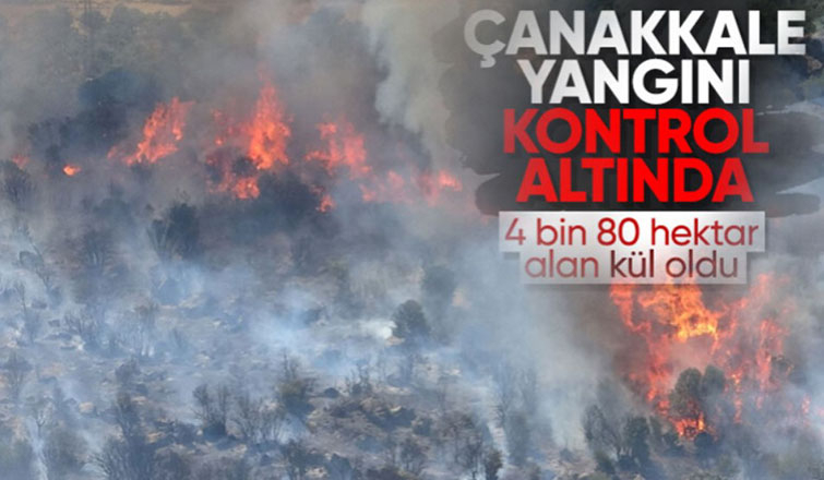 Çanakkale'deki orman yangını kontrol altına alındı
