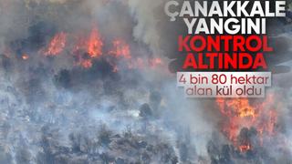 Çanakkale'deki orman yangını kontrol altına alındı