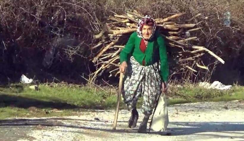  Çanakkaleli Hörü Nine, eşinin ve oğlunun acısıyla dağlarda odun topluyor
