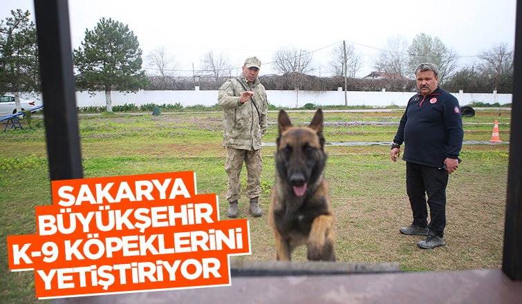 Canları kurtaracak köpekler en zor güne hazırlanıyor