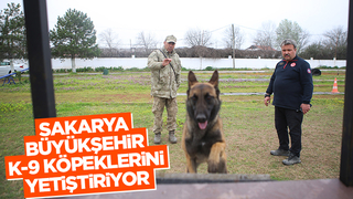 Canları kurtaracak köpekler en zor güne hazırlanıyor