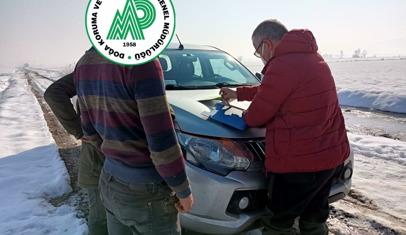 Canlı mührelerle avlanıyordu, yakalandı